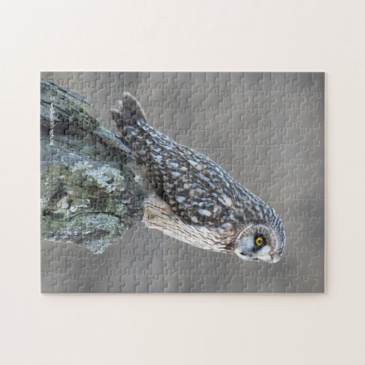 Kurz gezüchtete Eule im Marsch Puzzle (Horizontal)