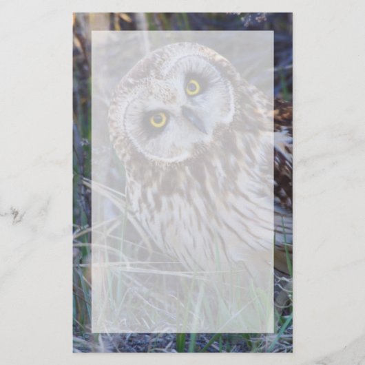 Kurz-Owl Briefpapier (Vorderseite)