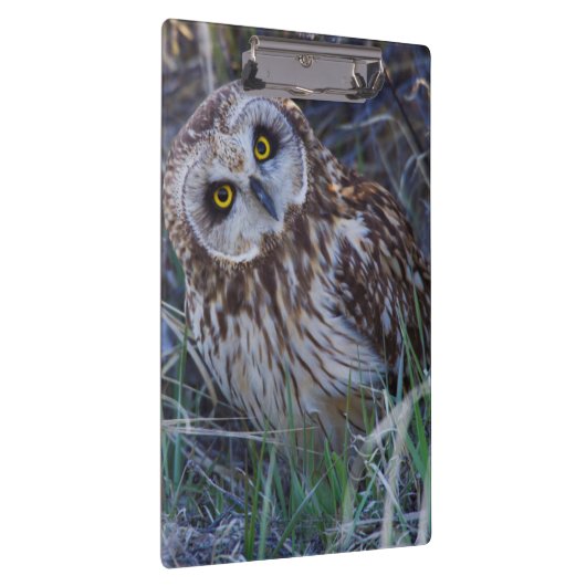 Kurz-Owl Klemmbrett (Rechts)