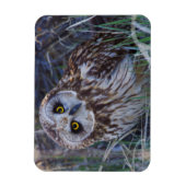 Kurz-Owl Magnet (Vertikal)