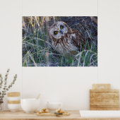 Kurz-Owl Poster (Küche)