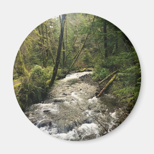 Kurz Sand Creek, Oswald West, Oregon Magnet (Vorne)