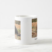 Kurz-schnabelförmiger Echidna - Tachyglossus Kaffeetasse (Mittel)