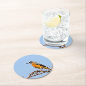Kurz-Toed Rock-Thrush Runder Pappuntersetzer (Vor Ort)