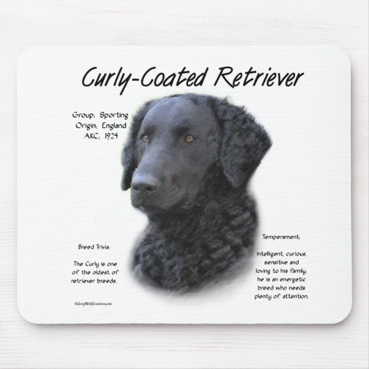 Kurz überzogenes Retriever History Design Mousepad (Vorne)