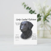 Kurz überzogenes Retriever History Design Postkarte (Stehend Vorderseite)