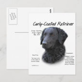 Kurz überzogenes Retriever History Design Postkarte (Vorne/Hinten)