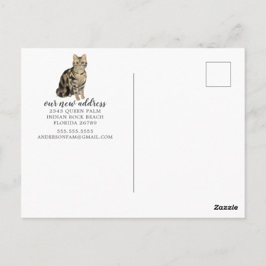 Kurzankündigung für Tabby Cat Moving Postcard Postkarte (Rückseite)