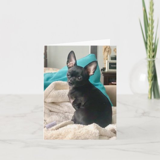 Kurzbeschreibung Dankeskarte (Vorderseite)