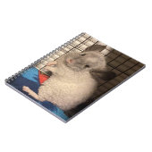 Kurze Chinchilla-Spiralfolie Notizblock (Linke Seite)