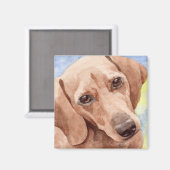 Kurze Dackel Hunde Portrait Magnet (Vorderseite/Rückseite)