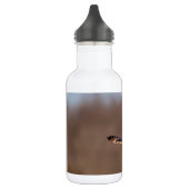 Kurze Eule im Flug Edelstahlflasche (Links)