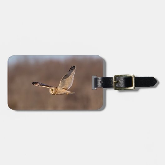 Kurze Eule im Flug Gepäckanhänger (Vorderseite horizontal)