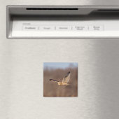 Kurze Eule im Flug Magnet (In Situ (Geschirrspüler))