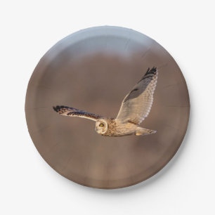 Kurze Eule im Flug Pappteller