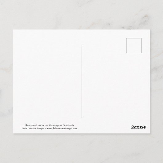 Kurze Eule im Flug Postkarte (Rückseite)