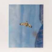 Kurze Eule im Flug Puzzle (Vertikal)