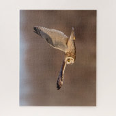 Kurze Eule im Flug Puzzle (Vertikal)