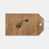 Kurze Eule im Grasland Geschenkanhänger (Vorderseite (Horizontal))