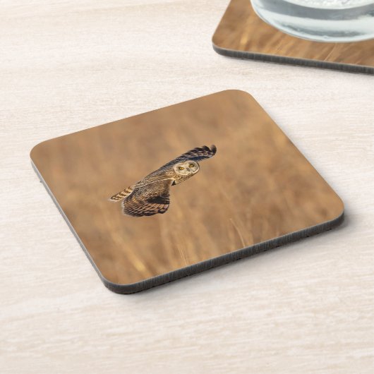 Kurze Eule im Grasland Getränkeuntersetzer (Linke Seite)