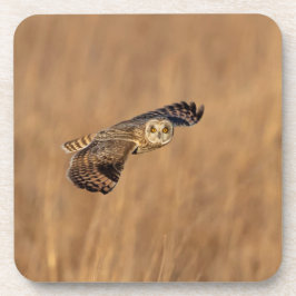 Kurze Eule im Grasland Getränkeuntersetzer