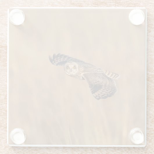 Kurze Eule im Grasland Glasuntersetzer (Rückseite)