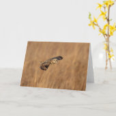 Kurze Eule im Grasland Karte (Gelbe Blume)