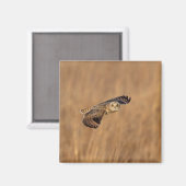 Kurze Eule im Grasland Magnet (Vorderseite/Rückseite)
