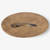 Kurze Eule im Grasland Pappteller (Schrägansicht)