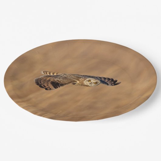 Kurze Eule im Grasland Pappteller (Schrägansicht)