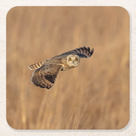 Kurze Eule im Grasland Rechteckiger Pappuntersetzer