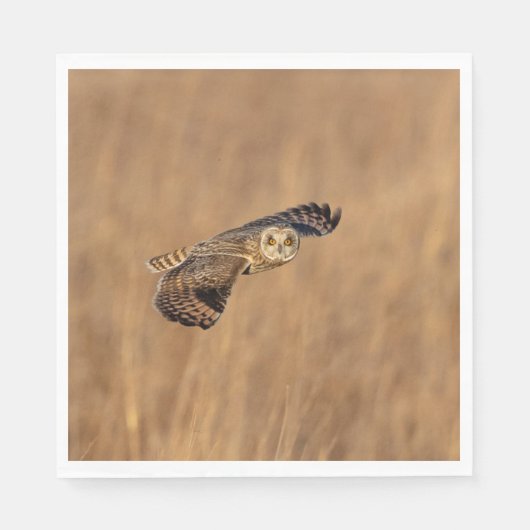 Kurze Eule im Grasland Serviette (Vorderseite)