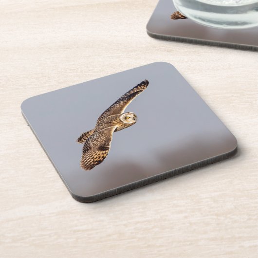 Kurze Eule im Shawangunk-Grasland Getränkeuntersetzer (Linke Seite)