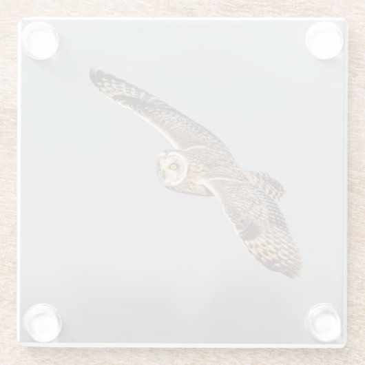 Kurze Eule im Shawangunk-Grasland Glasuntersetzer (Rückseite)