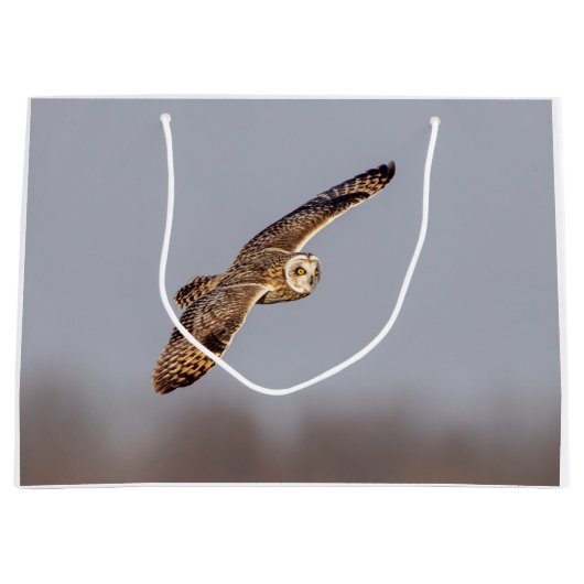 Kurze Eule im Shawangunk-Grasland Große Geschenktüte (Vorderseite)