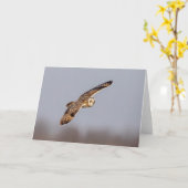 Kurze Eule im Shawangunk-Grasland Karte (Gelbe Blume)