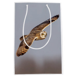 Kurze Eule im Shawangunk-Grasland Mittlere Geschenktüte