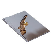 Kurze Eule im Shawangunk-Grasland Notizblock (Rechte Seite)