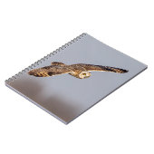 Kurze Eule im Shawangunk-Grasland Notizblock (Linke Seite)