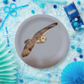 Kurze Eule im Shawangunk-Grasland Pappteller (Party)