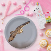 Kurze Eule im Shawangunk-Grasland Pappteller (Party)