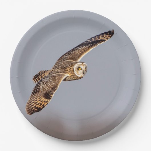 Kurze Eule im Shawangunk-Grasland Pappteller (Vorderseite)