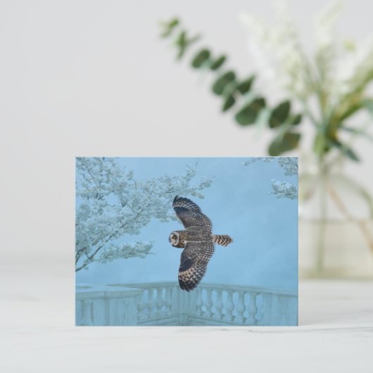 Kurze Eule im Shawangunk-Grasland Postkarte (Stehend Vorderseite)