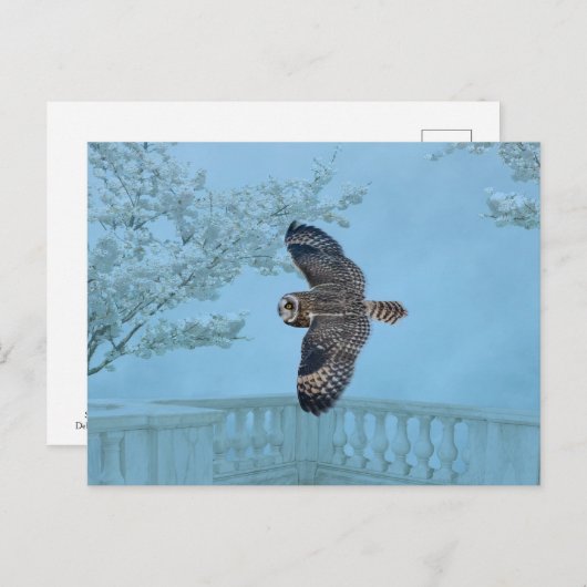 Kurze Eule im Shawangunk-Grasland Postkarte (Vorne/Hinten)