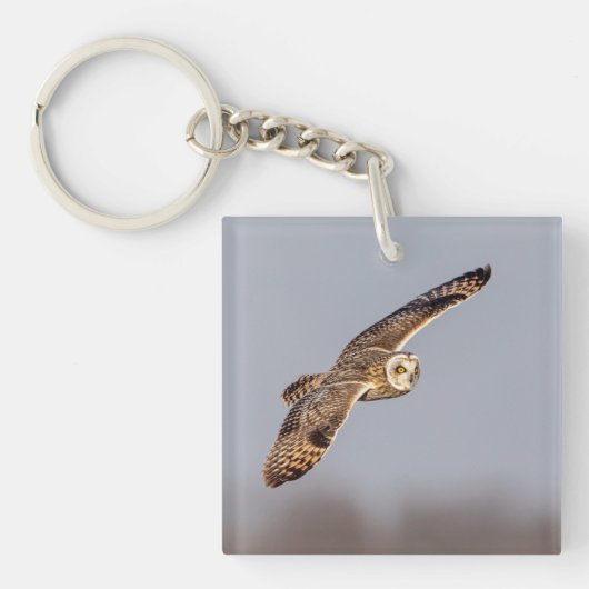 Kurze Eule im Shawangunk-Grasland Schlüsselanhänger (Vorderseite)