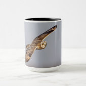 Kurze Eule im Shawangunk-Grasland Tasse (Zentrum)