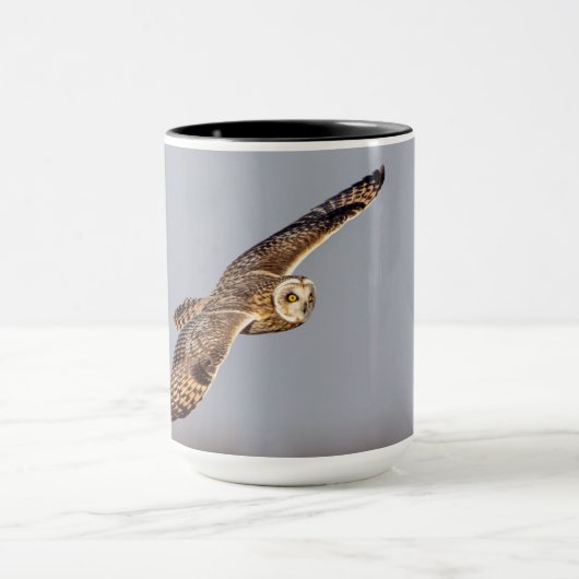 Kurze Eule im Shawangunk-Grasland Tasse (Zentrum)