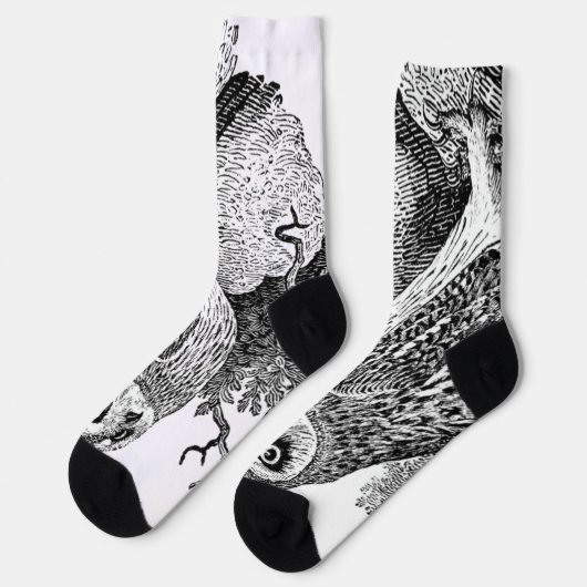 Kurze Eule Socken (Linkes Detail)