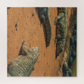 Kurze Nasen-Krokodile Sonnenbaden in der Nähe von  Puzzle (Horizontal)