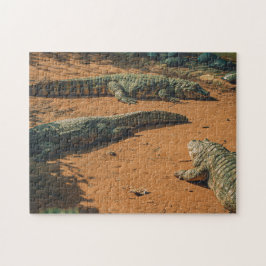 Kurze Nasen-Krokodile Sonnenbaden in der Nähe von  Puzzle